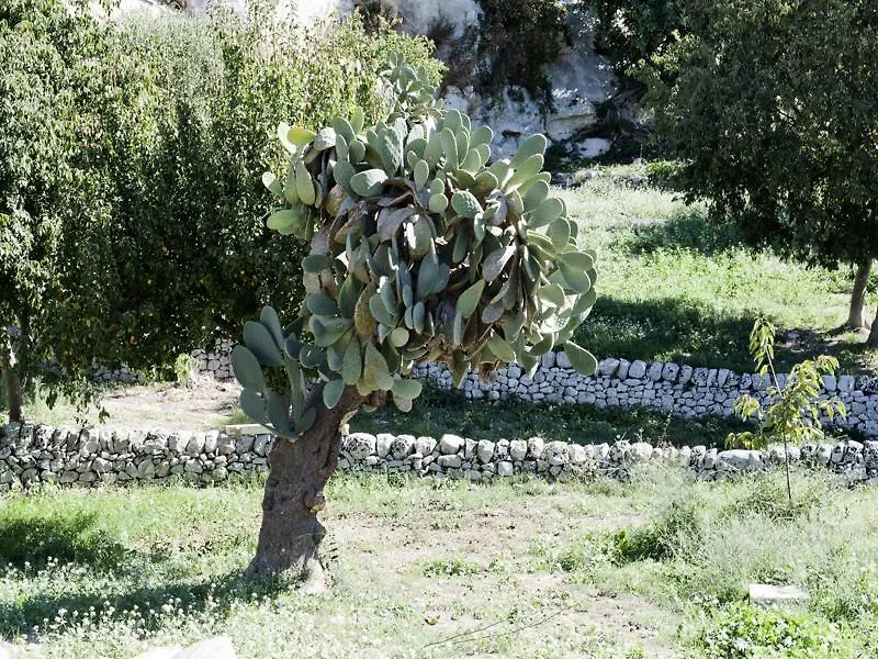 Valle dell'Acanto Modica Appartamento