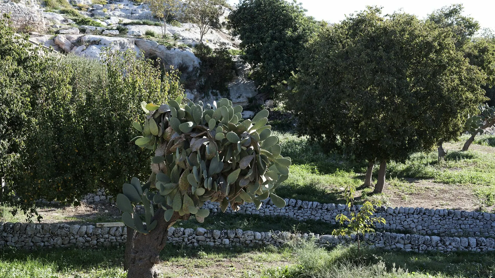 Valle Dell'Acanto Apartment Michelica